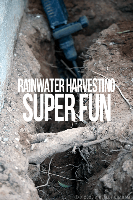 Rock hammer in a trench with roots. White text says in all caps Rainwater harvesting Super Fun.